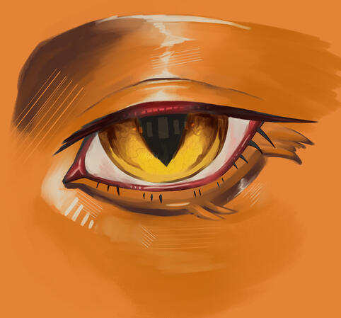 Eye close-up Commission Eye close-up Commission