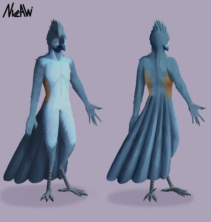 Reference sheet commission Reference sheet commission