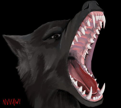 Wolf Maw Wolf Maw